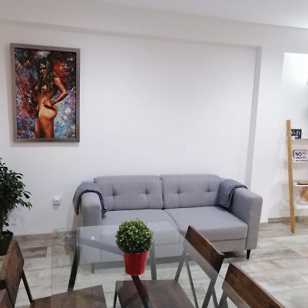 Mezquita- Elite, Parking, Wifi Apartment Cordoba Luaran gambar